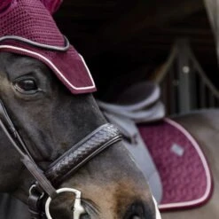 Kentucky Horsewear Kentucky Ohrnetz Wellington Velvet Violett Warmblut 31 Kentucky Horsewear Kentucky Ohrnetz Wellington Velvet Violett Warmblut -Geschäft für Reitsportbedarf kentucky wellington oornet bordeaux 2.8ba5e9