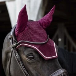 Kentucky Horsewear Kentucky Ohrnetz Wellington Velvet Violett Warmblut 28 Kentucky Horsewear Kentucky Ohrnetz Wellington Velvet Violett Warmblut -Geschäft für Reitsportbedarf kentucky wellington oornet bordeaux.56b63b