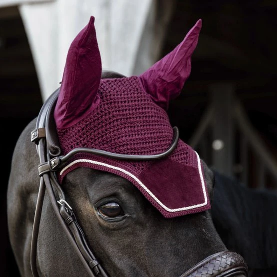 Kentucky Horsewear Kentucky Ohrnetz Wellington Velvet Violett Warmblut 9 Kentucky Horsewear Kentucky Ohrnetz Wellington Velvet Violett Warmblut – Bild 7