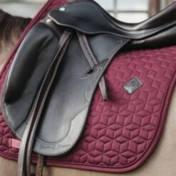 Kentucky Horsewear Kentucky Schabracke Basic Dressur Weiß Warmblut -Geschäft für Reitsportbedarf kentucky zadeldekje basic dressuur bordeaux 1.26891b