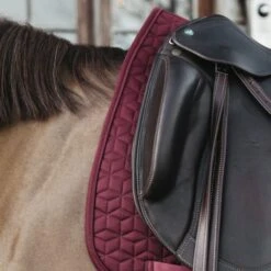 Kentucky Horsewear Kentucky Schabracke Basic Dressur Weiß Warmblut -Geschäft für Reitsportbedarf kentucky zadeldekje basic dressuur bordeaux 2.63c90e