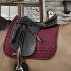 Kentucky Horsewear Kentucky Schabracke Basic Dressur Weiß Warmblut -Geschäft für Reitsportbedarf kentucky zadeldekje basic dressuur bordeaux.39c157