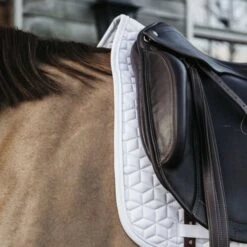 Kentucky Horsewear Kentucky Schabracke Basic Dressur Weiß Warmblut -Geschäft für Reitsportbedarf kentucky zadeldekje basic dressuur wit 2.81b93e