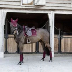 Kentucky Horsewear Kentucky Schabracke Velvet Dressur Fuchsia -Geschäft für Reitsportbedarf kentucky zadeldekje velvet dressuur bordeaux 2.8c08e6