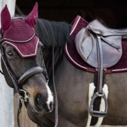 Kentucky Horsewear Kentucky Schabracke Velvet Springen Bordeaux Warmblut -Geschäft für Reitsportbedarf kentucky zadeldekje velvet springen bordeaux 2.fb1a7a