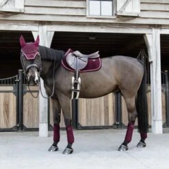 Kentucky Horsewear Kentucky Schabracke Velvet Springen Bordeaux Warmblut -Geschäft für Reitsportbedarf kentucky zadeldekje velvet springen bordeaux 3.221ac1