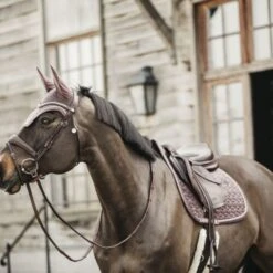 Kentucky Horsewear Kentucky Schabracke Velvet Springen Bordeaux Warmblut -Geschäft für Reitsportbedarf kentucky zadeldekje velvet springen lichtpaars 2.effddc