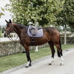 Kentucky Horsewear Kentucky Springsatteldecke Velvet Smaragdgrün Warmblut 35 Kentucky Horsewear Kentucky Springsatteldecke Velvet Smaragdgrün Warmblut -Geschäft für Reitsportbedarf kentucky zadeldekje velvet springen purple.f34cb1 1