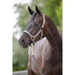 Covalliero Halfter Classy Merlot -Geschäft für Reitsportbedarf kerbl 214303.ccda16