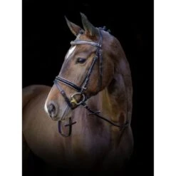 Kerbl Trense Kingston Englisch Kombiniert Braun -Geschäft für Reitsportbedarf kerbl 321048720.2e575d