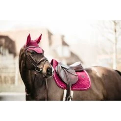 Kentucky Horsewear Kentucky Schabracke Velvet Springen Bordeaux Warmblut -Geschäft für Reitsportbedarf kh 42579 16 1.34b09d