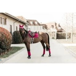 Kentucky Horsewear Kentucky Schabracke Velvet Springen Bordeaux Warmblut -Geschäft für Reitsportbedarf kh 42579 16.92c550