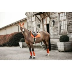 Kentucky Horsewear Kentucky Schabracke Velvet Springen Bordeaux Warmblut -Geschäft für Reitsportbedarf kh 42579 45 4.c4057b