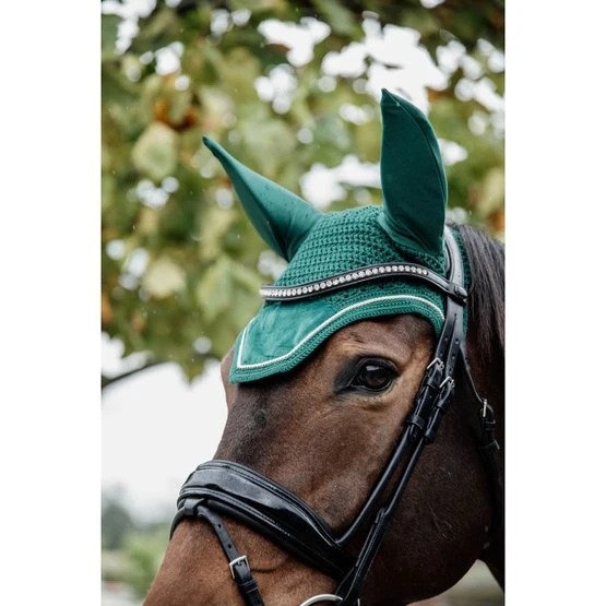 Kentucky Horsewear Kentucky Ohrnetz Wellington Velvet Violett Warmblut 13 Kentucky Horsewear Kentucky Ohrnetz Wellington Velvet Violett Warmblut – Bild 11