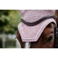 Kentucky Horsewear Kentucky Ohrnetz Wellington Velvet Violett Warmblut 26 Kentucky Horsewear Kentucky Ohrnetz Wellington Velvet Violett Warmblut -Geschäft für Reitsportbedarf kh 485a1859.b651a1