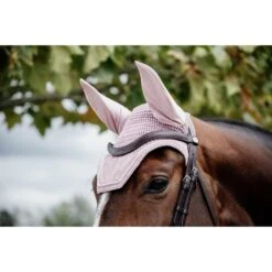Kentucky Horsewear Kentucky Ohrnetz Wellington Velvet Violett Warmblut 25 Kentucky Horsewear Kentucky Ohrnetz Wellington Velvet Violett Warmblut -Geschäft für Reitsportbedarf kh 485a1867.02c454