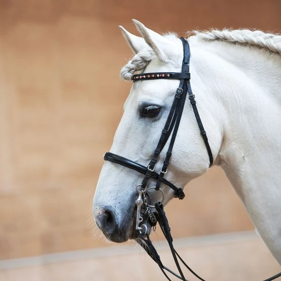 Kieffer Kandarenzaum Anja Beran Exclusive Jonquil Bicolor Schwarz/Chrome 5 Kieffer Kandarenzaum Anja Beran Exclusive Jonquil Bicolor Schwarz/Chrome – Bild 3