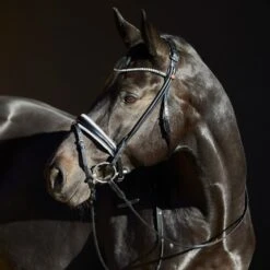 Kieffer Trense Sylvie II Crystals/Pearls Lack Schwarz -Geschäft für Reitsportbedarf kieffer 44981825 1.c5d259