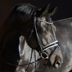 Kieffer Trense Sylvie II Crystals/Pearls Lack Schwarz -Geschäft für Reitsportbedarf kieffer 44981825 2.a9fc56