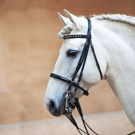 Kieffer Kandarenzaum Anja Beran Exclusive Jonquil Bicolor Schwarz/Chrome 3 Kieffer Kandarenzaum Anja Beran Exclusive Jonquil Bicolor Schwarz/Chrome