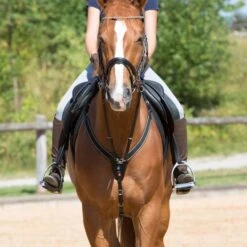 Kieffer Brustgeschirr Arlene Elastisch Braun -Geschäft für Reitsportbedarf kieffer 922 arlene vorderzeug breastplate 1.66c7ce
