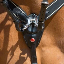 Kieffer Brustgeschirr Arlene Elastisch Braun -Geschäft für Reitsportbedarf kieffer 922 arlene vorderzeug breastplate 3.3850cd