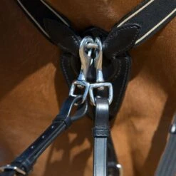 Kieffer Brustgeschirr Arlene Elastisch Braun -Geschäft für Reitsportbedarf kieffer 922 arlene vorderzeug breastplate 4.ad1c11