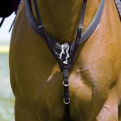 Kieffer Jagtvorderzeug Jessica Schwarz 9 Kieffer Jagtvorderzeug Jessica Schwarz -Geschäft für Reitsportbedarf kieffer 931 vz jessica 0.0d77be