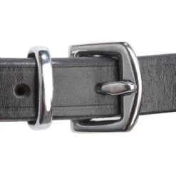 Kavalkade Trense Isabella Reithalfter Hannover Schwarz Pony -Geschäft für Reitsportbedarf kv 19015 04.4e233e