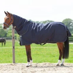 Kavalkade Halsstück Montreal 100g Navy -Geschäft für Reitsportbedarf kv 46740 04.f31049