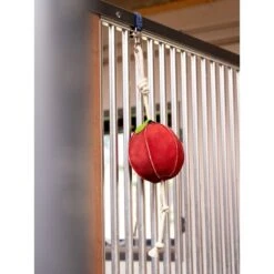 LeMieux Horse Toy Cupcake 11 LeMieux Horse Toy Cupcake -Geschäft für Reitsportbedarf lemieux 3n6a4599 edit copy.af1656 1