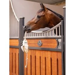 LeMieux Horse Toy Apple -Geschäft für Reitsportbedarf lemieux 3n6a4666 edit copy.98abfb 2