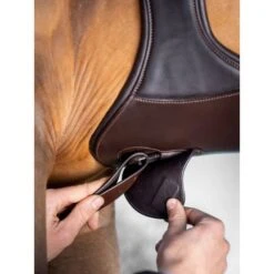 LeMieux Spring Sattelgurt Magnet Anatomisch Lang Schwarz -Geschäft für Reitsportbedarf lemieux 3n6a9374 copy 2.63610a