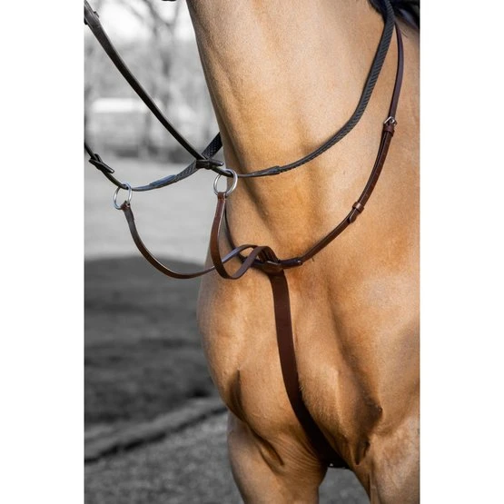 LeMieux Martingal Arika Running Havanna/Silber 3 LeMieux Martingal Arika Running Havanna/Silber