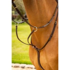 LeMieux Martingal Arika Running Havanna/Silber 7 LeMieux Martingal Arika Running Havanna/Silber -Geschäft für Reitsportbedarf lemieux it03730 lifestyle arikarunningmartingale brown 1.43ff48