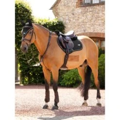 LeMieux Satteldecke Jumping Puissance Wildleder Schwarz -Geschäft für Reitsportbedarf lemieux it03806 lifestyle puissancesuedeccpad black 9 copy.69a4bb