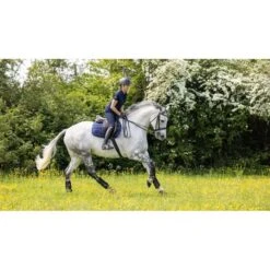 LeMieux Satteldecke Work Springen Mink L -Geschäft für Reitsportbedarf lm 3n6a1485 edit copy.6b0163