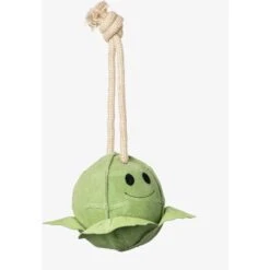 LeMieux Spielzeug Paard Sprout Sprout -Geschäft für Reitsportbedarf lm 3n6a3433 edit copy 1.628ef2