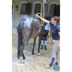 Magic Brush Shampoo Wash&Shine Sensitive 500ml 12 Magic Brush Shampoo Wash&Shine Sensitive 500ml -Geschäft für Reitsportbedarf mbrush shampoo algmeen 4.119a2f