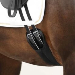 Passier Dressurgurt Neopren Schwarz 13 Passier Dressurgurt Neopren Schwarz -Geschäft für Reitsportbedarf passier 061 neo satgur ku sch pferd 3800x3800.7d93f6
