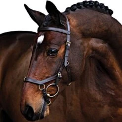 Rambo Micklem Multibridle Ohne Zügel Schwarz Pony -Geschäft für Reitsportbedarf productagradi z000223 2.660a47