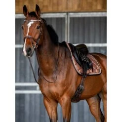 PS Of Sweden Schabracke Stardust Springen Weiß -Geschäft für Reitsportbedarf ps dsc 2376 2.f12aa2