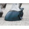 Shires Hufschuh Schwarz -Geschäft für Reitsportbedarf sh 1847 black.4f7d43