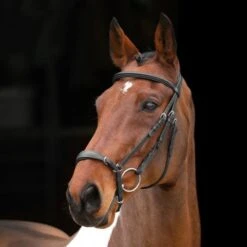 Velociti By Shires Trense Rapida Hannoversches Reithalfter Schwarz