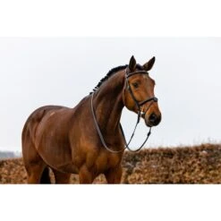 Trust Zaum Geneva Schwarz/Silber -Geschäft für Reitsportbedarf trust geneva comb noseband strap passes over wide anatomic headpiece heus23l296387.5e2d36