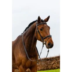 Trust Zaum Geneva Schwarz/Silber -Geschäft für Reitsportbedarf trust geneva comb noseband strap passes over wide anatomic headpiece heus23l296388.0afd4b