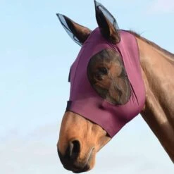 Weatherbeeta Fliegenmaske Stretch Bug Eye Saver Mit Ohren Türkis Schwarz -Geschäft für Reitsportbedarf wb 819111 wb stretch bug eye saver image lifestyle.37001d