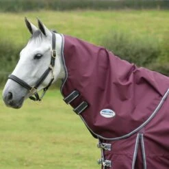 Weatherbeeta Winterdecke Comfitec Plus Dynamic II Neck Rug Medium Maroon/Grau/Weiß -Geschäft für Reitsportbedarf weatherbeeta 1006923003 wb cft pdynmc ii nrg image hero null.6c8478